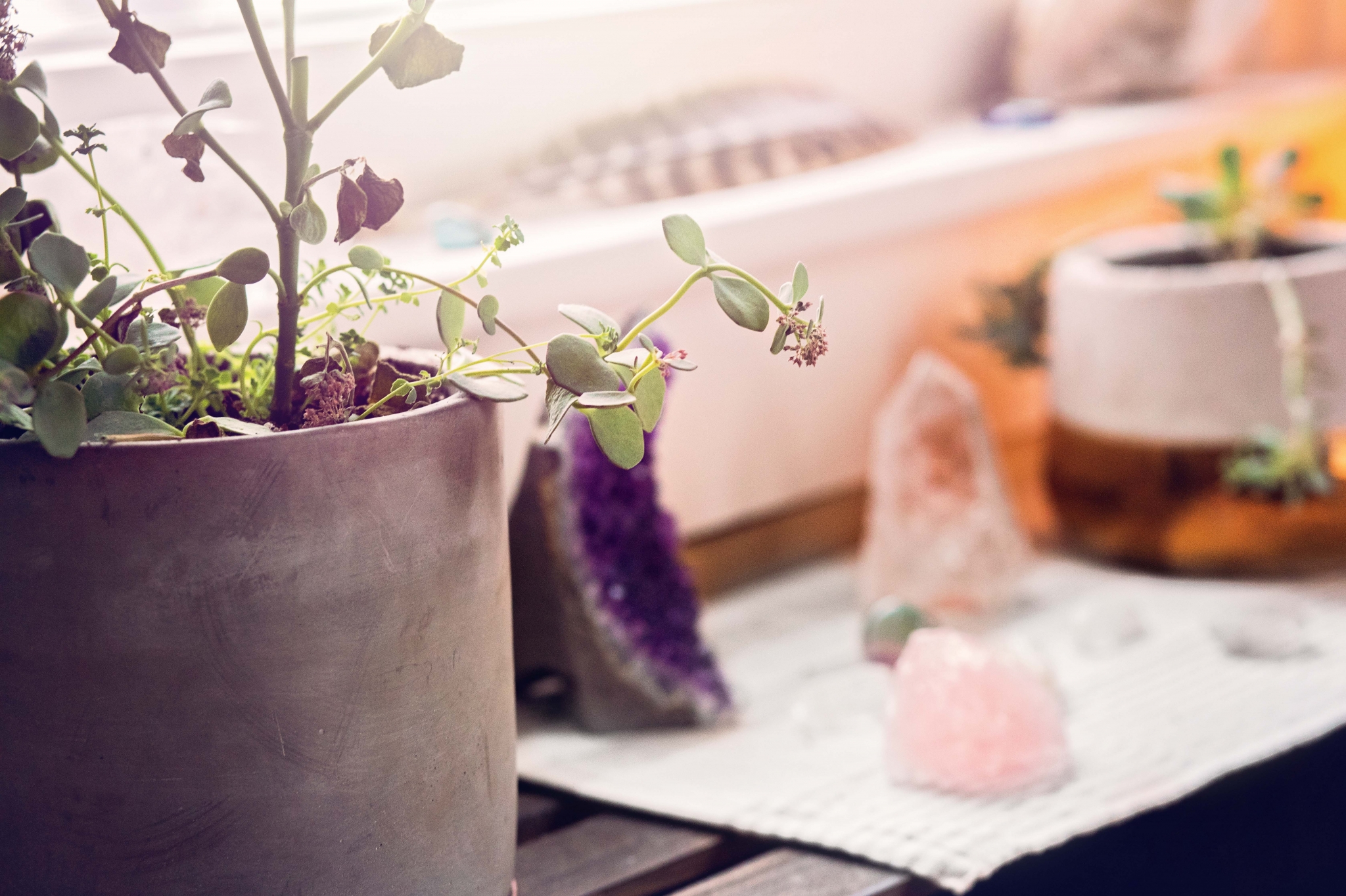 Thank you for your support l Body Mechanix Massage l Dover, NH